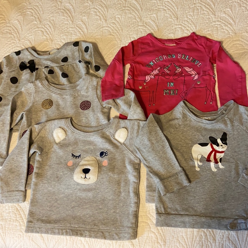 Lot of 24M Carter’s Long Sleeved Shirts for Girls